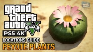 peyote plants GTA Online